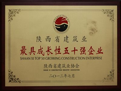 2013年陜西省建筑業(yè)最具成長(zhǎng)性五十強(qiáng)企業(yè)